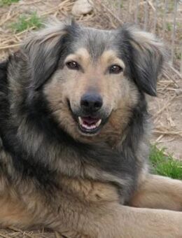 Ruhiger Zoran - Kallmünz