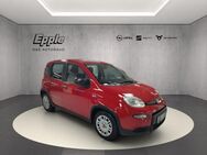 Fiat Panda, 1.0 GSE Hybrid, Jahr 2024 - Rutesheim