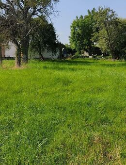 ✅️Idyllisches Baugrundstück in Ernzen an der luxemburger Grenze✅️ * PROVISIONSFREI * - Ernzen