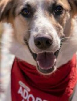 Kuschelbär Quinny sucht seine Familie - München