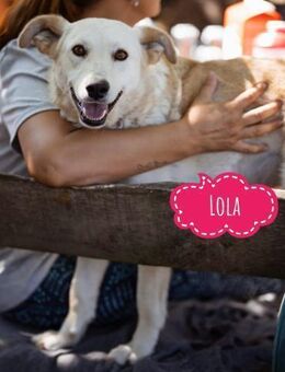 Lola ein dankbarer Schatz - Flörsheim-Dalsheim