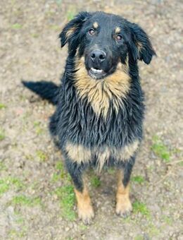 Kuschliger DAROU 😀 - Mylau