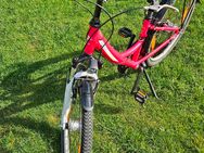 Pegasus Avanti 24" 7-Gang - Klosterlechfeld