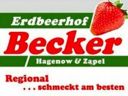 Verkäufer/-in (m/w/d) für Erdbeeren in HH Wandsbek/Rahlstedt/Farmsen/Berne - Hamburg Wandsbek