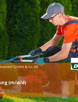Marktleitung (m/w/d) - Bad Dürrheim