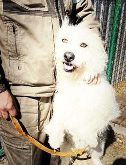 Wartend auf ein Wunder! - Stuttgart