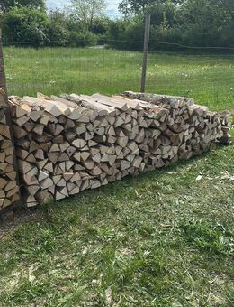 Brennholz mit Lieferung - Bad Krozingen