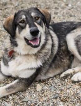 Aufgeschlossene und entspannte Alisea - München