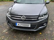 VW TIGUAN 1.4 TSI CUP Sport & Style BMT 6 Gang AUTOMATIC - Wiesbaden Breckenheim