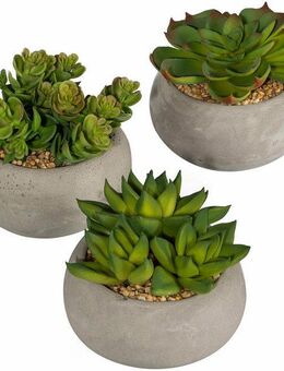 Kunstpflanze Sukkulenten, Creativ green