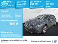 VW Golf, 2.0 TDI VIII Life, Jahr 2024 - Mannheim