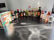 Spirituosen Alkoholika 20 versch. Kleinflaschen Boonekamp Jägermeister Kümmerling usw. - Leopoldshöhe