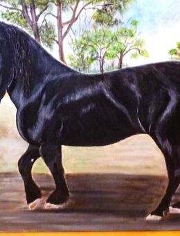 #Freistehendes Zweigenerationenhaus mit viel Platz im Aussenbereich - Niederkrüchten