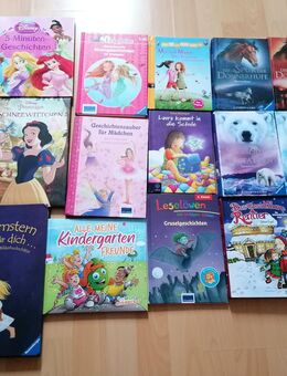 Verschiedene Bücher - Kirchberg (Hunsrück)
