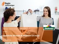 Verkäufer Blumen & Pflanzen (m/w/d) - Rödental