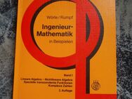 Ingenieur-Mathematik in Beispielen Band 1 , Verlag Oldenbourg - Weichs