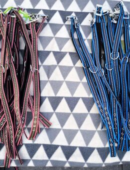 Hundehalsband Softra blau und rosa Halsband für Hunde Stoffhalsband NEU - Sengenthal