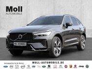 Volvo XC60 Plus Dark Recharge Plug-In Hybrid AWD T8 Twin Engine EU6e Allrad StandHZG digitales Cockpit - Aachen