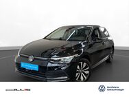 VW Golf, 2.0 TDI VIII Move, Jahr 2024 - Münsingen