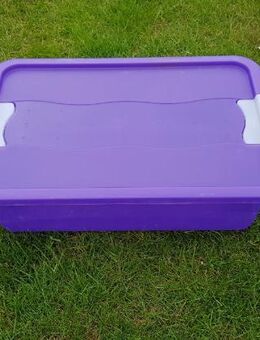 Kustoffbox auf Rollen + Deckel Unterbettroller 39 x 40 x18 cm - Leverkusen