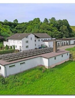 Interessante Wohn-und Gewerbeimmobilie mit viel Fläche, innen wie außen - Trendelburg