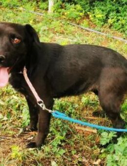 Wandas bisheriges Leben war schwer - Schafflund