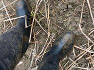 Verleihe Gummistiefel, suche Träger in kurz oder langzeit - Göttingen