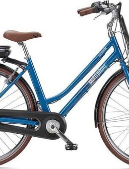 Telefunken E-Bike Cityrad Multitalent RT530, 3 Gang Shimano Nexus Schaltwerk, Nabenschaltung, Frontmotor, 374,4 Wh, Pedelec, Elektrofahrrad für Damen u. Herren