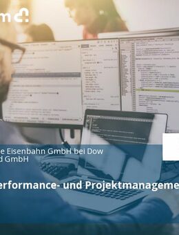 Experte Performance- und Projektmanagement (m/w/d) - Schkopau