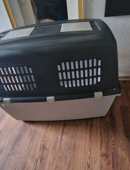 TransportboxHunde gr 7 - Kettershausen