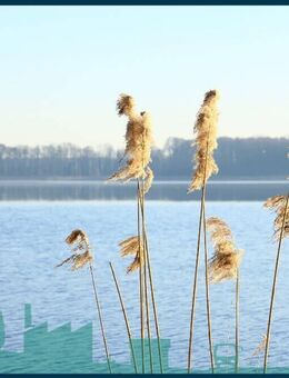 Wassergrundstück am Mellensee mit Villa Bootshaus und Steg - Am Mellensee