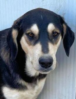 ROBIN HOOD - ausgesetzt im Nichts - Regensburg