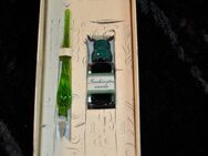 Kalligraphie Set 0386 grün mit Glasschreibfeder und 5 ml Tinte  in einer Geschenkbox - Aschaffenburg