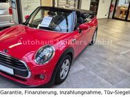 MINI One Cabrio, 239 mtl, Jahr 2019 - Rheurdt