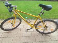 Mountainbike Marke Steppenwolf - Verl Sende