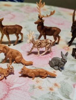 Jede Menge Haus-, Hof-, Nutz- und Wildtiere - ein Schätzchen aus DDR Zeiten - Wolgast