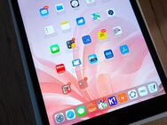 iPad 8. Generation 128 GB WiFi in OVP - Braunschweig