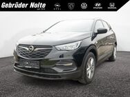 Opel Grandland X, 1.2 Turbo Edition, Jahr 2020 - Iserlohn
