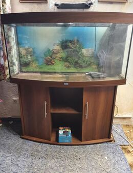 Aquarium Juwel Vision 260 mit gewölbter Scheibe ,Unterschrank und Zubehör - Espenau