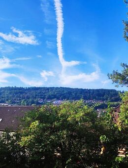Pittoreske Traumwohnung mit 4.5 Zimmern in Ingelfinger Stadtmitte - Ingelfingen