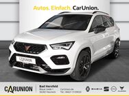 CUPRA Ateca, 2.0 TSI VZ, Jahr 2024 - Hauneck