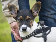 Jácint will die Welt entdecken - Puchheim