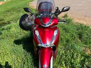 Honda Stadtflitzer-Roller SH 350 (A2) - Eggolsheim