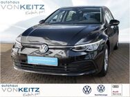 VW Golf, 1.5 TSI VIII LIFE MET, Jahr 2023 - Solingen (Klingenstadt)