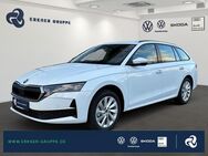 Skoda Octavia, 2.0 TDI Combi Selection, Jahr 2022 - Rüdersdorf (Berlin)