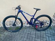 Scott Contessa Spark 930 - Fleischwangen