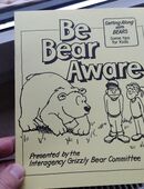 Die Kiddys machen erste Schritte im Englisch-Unterricht? Und finden Bären so richtig süüüüß?? Spielerische Nachhilfe: Umgang m. Bären/orig. aus Kanada in 39108