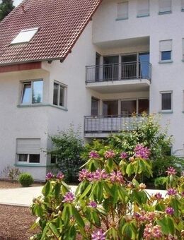 Wohnung mit 2 Tiefgaragenstellplätzen und Balkon - Angelbachtal