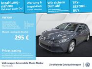 VW Golf, 2.0 TDI VIII Life, Jahr 2024 - Mannheim