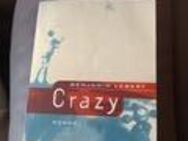 Crazy, Benjamin Lebert- Buch zum Film - Bendorf (Rheinland-Pfalz)